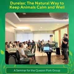 527794402_1304066345056154_8517367665991518893_n